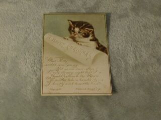2 LATE 1800 ' S RAPHAEL TUCK CATS VICTORIAN / ENGLISH CHRISTMAS GREETING CARDS 3