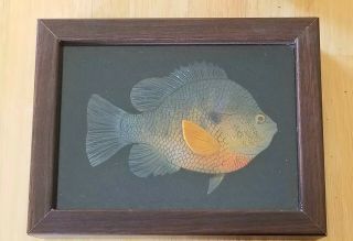 Hand Carved Painted Fish Fishing Wall Folk Art Wood Framed