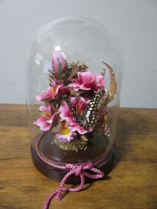 Vintage Real Butterfly Under Glass Dome,  Wood Base