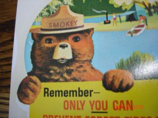 Vintage Smokey Bear Auto Car Travel Trailer Water Dip Decal Usfs Forest Service