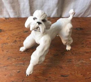 Vintage Prancing Playing White Ceramic Poodle Dog Figurine Colorful Collar 6x5 "