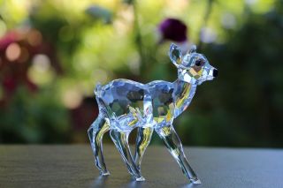 Swarovski Crystal Figurine Fawn Deer Standing 7608 002
