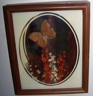 Vintage Butterfly And Flowers Framed Mirrored In A Unique 3d Shadowbox Display