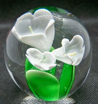 White Lily Art Glass Paperweight By Dynasty Gallery