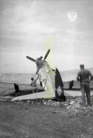 Us Navy Fighter Plane - C1945 - World War 2 Wwii - Vintage Airplane Negative