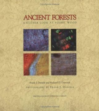 Ancient Forests Closer Look Fossil Wood - Daniels Dayvault 2006 Hardcover