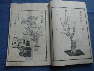 Japanese Woodblock Print Book Ikebana Japanese Flower Arrangement Meiji/edo