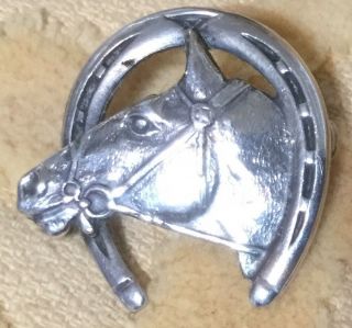 Horseshoe And Horse Head Sterling Silver Pin