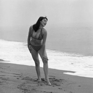1950s Vogel Negative,  Sexy Pin - Up Girl Doris Gohlke At Beach In Bikini,  T250849
