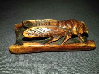 Chinese Hand Carved Yak Bone Bovine Cicada Insect Pendant Netsuke Figure