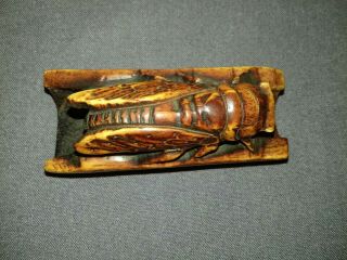 Chinese hand carved yak bone bovine cicada insect pendant netsuke figure 3