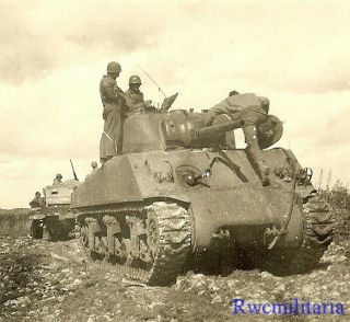 Best Us Troops W/ M4 Sherman Tank W/ Column In French Field; 1944