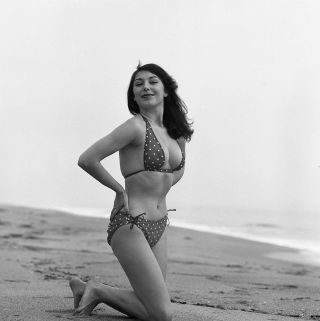 1950s Vogel Negative,  Sexy Pin - Up Girl Doris Gohlke At Beach In Bikini,  T250841
