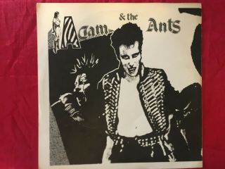Punk - Adam And The Ants - Madam Stan - Uk S&m,  Wraparound Ps