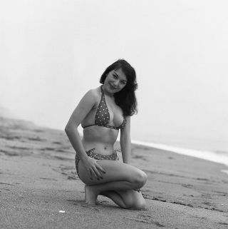 1950s Vogel Negative,  Sexy Pin - Up Girl Doris Gohlke At Beach In Bikini,  T250852