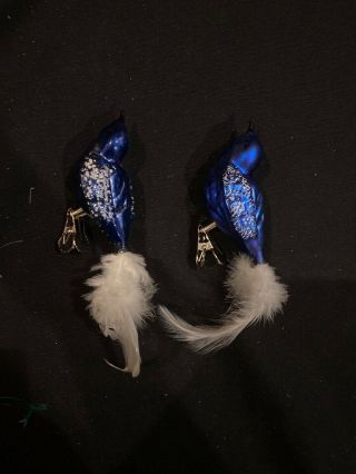 Rare Decorative 2pc 6” Blue Jay Bird Holiday Clip - On Ornament