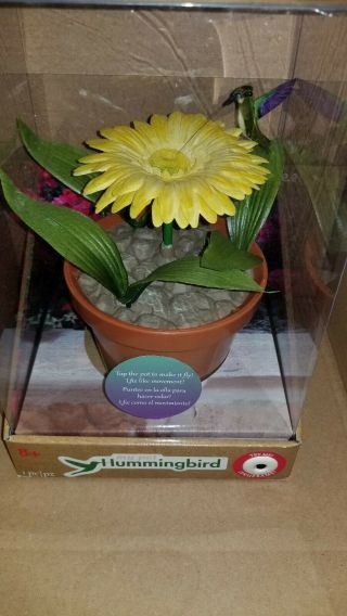 Rare My Pet Hummingbird 8 1/2 " Tall Sunflower