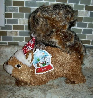 Pier 1 Imports Natural Sisal Riley Squirrel With Hat 11 " Tall X 11 " Wide