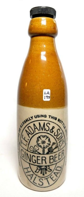 Victorian Stoneware Ginger Beer - T.  F.  Adams & Sons,  Halstead