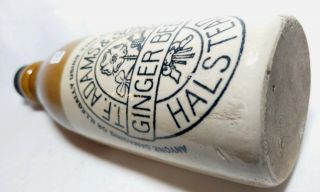 Victorian Stoneware Ginger Beer - T.  F.  ADAMS & SONS,  HALSTEAD 3