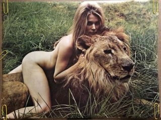 Vintage Poster Girl With Lion Naked Woman 1970’s Pin Up Sexy Animals