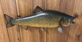 Vintage Brown Trout Fish Salmon Lake Taxidermy Trophy Real Skin Wall Mount