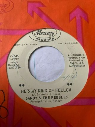 Northern Soul Promo 45/ Sandy & The Pebbles " He 