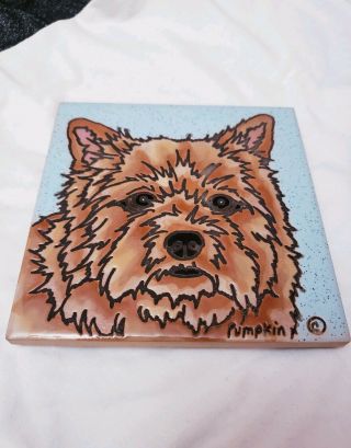 Pumpkin Inc Norwich Terrier / Hot Item Pad/ 6x6 " Wall Art / Dog Lover Gift
