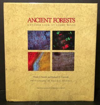 Ancient Forests : A Closer Look At Fossil Wood By Frank J.  Daniels Hardback 44v