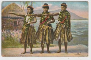 3 Hula Girls Hawaii Hawaiian Hula Dancers Old Postcard By Island Curio Co C1910