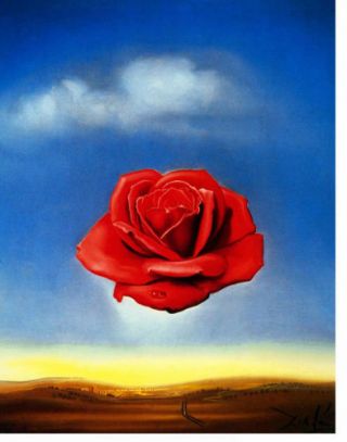 Salvador Dalí - Meditative Rose Print 14 X 11 "