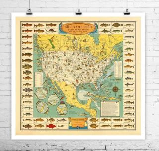 Big Game Fish 1936 Vintage Fishing Map Rolled Canvas Giclee Print 24x24 In.