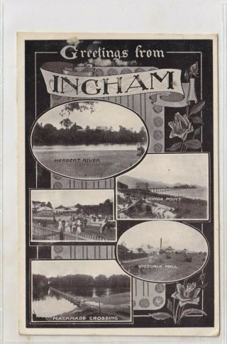 Vintage Postcard Greetings From Ingham North Queensland 1900s