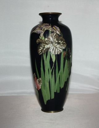 Large 19th Century Japanese Meiji Period Cloisonne Vase
