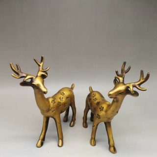Pair Chinese Old Fengshui Copper Lucky Sika Deer Cervus Nippon Deer Statue /we01