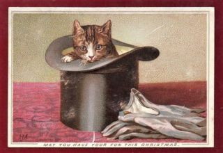 Victorian Cat In Top Hat S.  Hildesheimer Helena Maguire Christmas Greeting Card