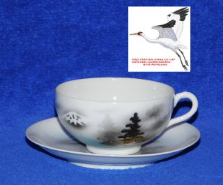 Eggshell Porcelain Tea Cup & Saucer Japanesehand Painted Asian Antique
