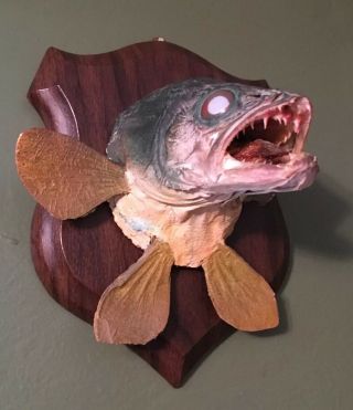 Vintage Fish Head Shoulder Taxidermy Wall Mount Walleye