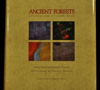 Fossil Book - Ancient Forests,  A Closer Look At Fossil Wood