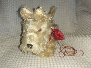 1950 ' s Arnold West Germany - WIND - UP SCOTTIE DOG - Plush Covered Tin 2