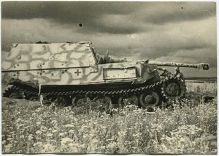 Wwii Large Size Press Photo: Elephant Ferdinand Tank Destroyer At Battlefield