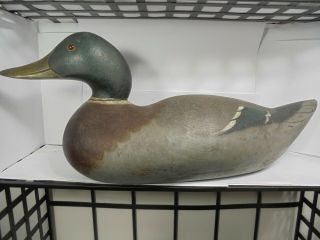 Awesome Antique Vintage Duck Decoy Mason Mallard Challange Beauty