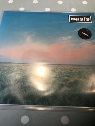 Oasis Whatever Fold Out Numbered Sleeve 7” Noel Gallagher Creation