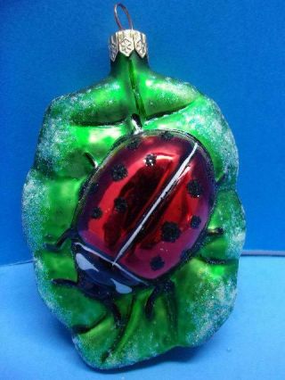 Vintage Lucky Ladybug On Leaf Glass Christmas Ornament 4.  5 " Tall Nature Bug