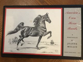 America’s Own Horse Breeds A Portfolio By Jeanne Mellin Stephen Greene Press