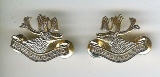 Pair Modern Canadian Army Royal Newfoundland Regiment Collar Badges