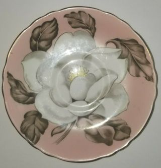 Vintage Paragon Magnolia Tea Cup Saucer Pink Saucer Only