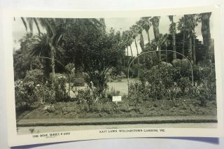 Vintage Real Photo Postcard Williamstown Botanical Gardens Melbourne Australian
