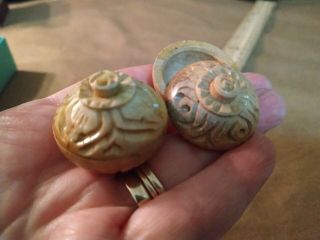 Tiny Carved Stone Floral Design Circular Trinket Boxes Set Of 2