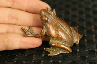 Rare Asian Old Bronze Fortune Frog Desktop Decorate Noble Gift Tea Pet